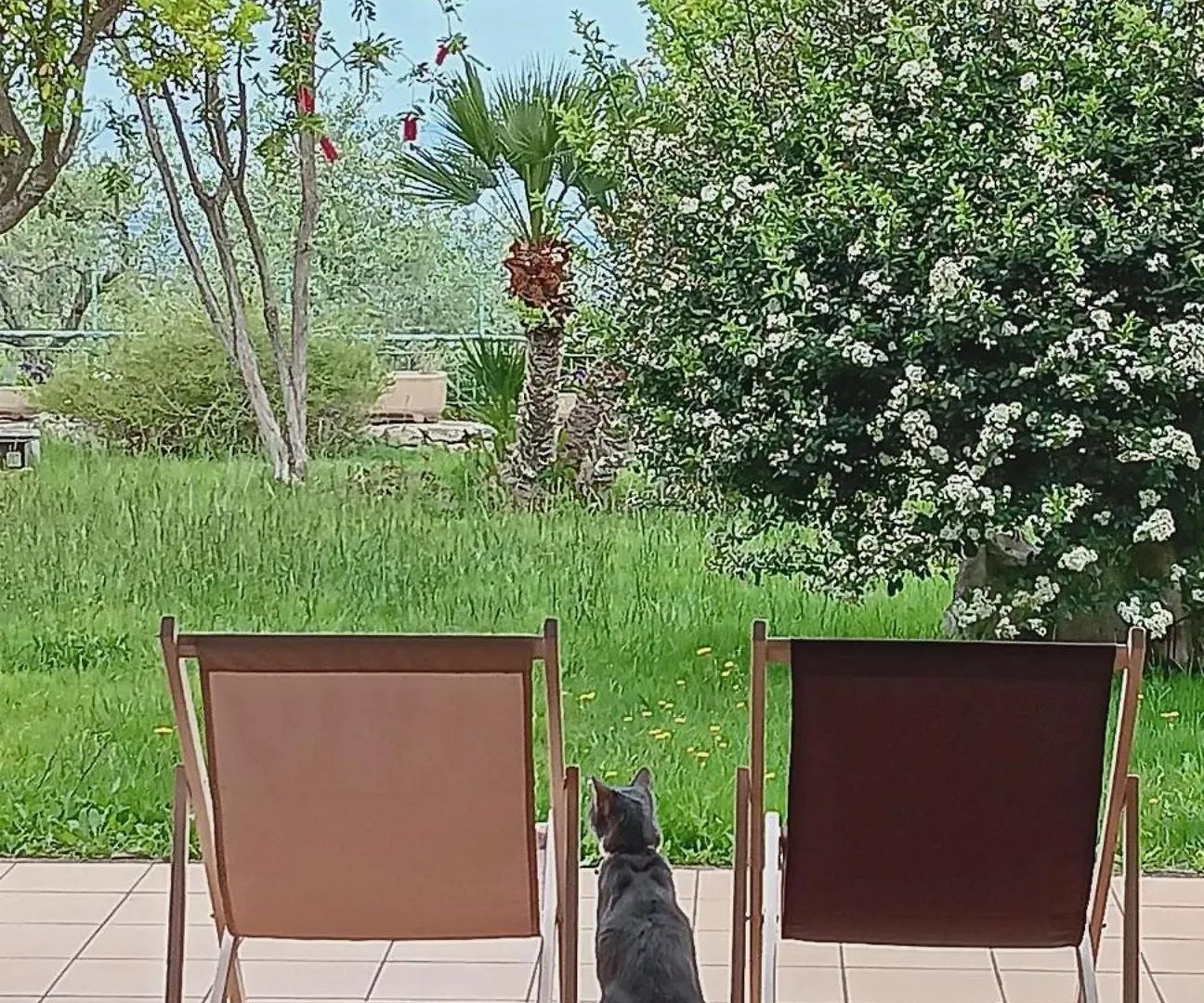 Holiday home La Casa Del Vento Villa Sennori Italy